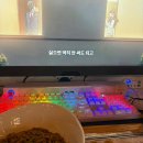 자퇴가 답이 맞음