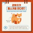 광주동물병원 이미지