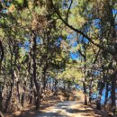 백련사 | 광안리 바다를 한눈에 내려다보는 곳, 백련사 방문 후기