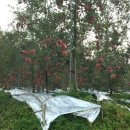 한나펜션 이미지