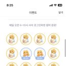 펫뱅크 이미지