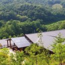 문성자연휴양림 이미지