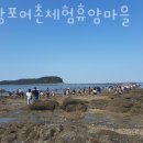 무창포어촌체험휴양마을 이미지