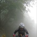 바람의노래 이미지