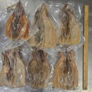 벌교대한통운택배 | 3월4일 판매생선 (바지락살,돌굴,매생이,새꼬막,활전복,암치홍어,활전복(특),배건조오징어,부세보리굴비...