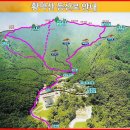 개미광고사