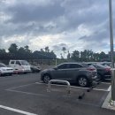 아라큰약국 이미지