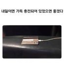 사랑 지독한 4월 🫧🐰
