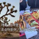 미국 LA여행 조슈아트리 투어 내돈내산후기 + 인앤아웃 버거 주문 TIP