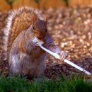 청담미치과의원 이미지