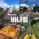 제일카 인테리어 | 다낭 바나힐 자유투어 골든브릿지 케이블카 맥주공장 후기