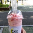 토끼다방 이미지