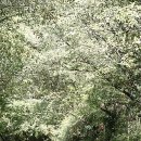 시냇물공원 이미지