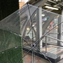 미미쇼핑