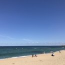 파인힐애견펜션 이미지