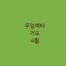 (주)주일