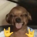 씨유춘천명동점 | 내가 22살이라니