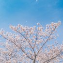 금척