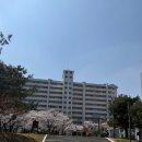 여의나루역 3번 출구 횡단보도 | [서울 여의도] 여의도 벚꽃 축제, 여의도 한강공원