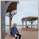 ♣낙동강 자전거길 (화명역→ 다대포역 2026.3.28.)♣ 이미지