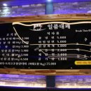 일품대패 이미지