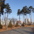 새장터공원 네이버블로그