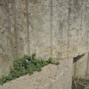 양지-2791 이미지