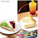 테이스티스토리 이미지