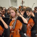 첼로 1:1 맞춤레슨 이미지