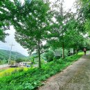 구암1리 이미지