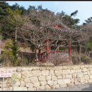칠곡 선봉사 대각국사비 이미지