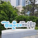 [부산 해운대] 다양한 볼거리, 먹거리 물놀이 즐긴후에 구경하기 좋은 해운대시장