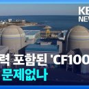 원전을 포함하는 CF100으로 RE100을 대체한다고? 기업의 ‘CF100’전환, 수출 경쟁력에 영향 없나? 이미지