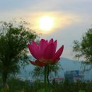 원동농장 이미지