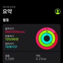 쏨밍 이미지