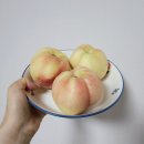4951 | 총각네 복숭아 프리미엄 복숭아 선물세트 대극천 딱딱이 복숭아 후기