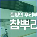 참뿌리한의원 이미지