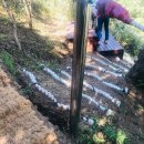 다랑쉬민박 이미지