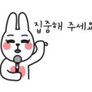 멍멍아 까꿍 이미지