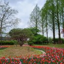 강원도립화목원 이미지