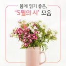 5월의 시 모음 [봄 시] [아름다운 시] 이미지