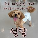 별관펜션식당 이미지