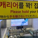 아라온해수사우나 | 9월 제주 3박 4일 뚜벅이여행 #1-1 | 제주 유니클로 UTME 귤 티셔츠 오픈런 | 스타벅스 한라봉 천혜향...