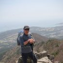 함박지 | 20190406근교산(달음산,천마산,함박산)산행