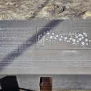 창선 가인리화석산지 이미지