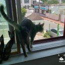 호텔코코 이미지