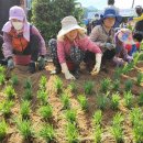 마지2리 이미지