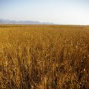 순천만주유소 이미지