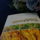 삼안미곡종합처리장 이미지