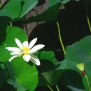 초의선사탄생지 기념전시관 이미지